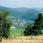 Kaiser's Traumzeit Appartments - Kaiser Διαμέρισμα Willingen (Upland)